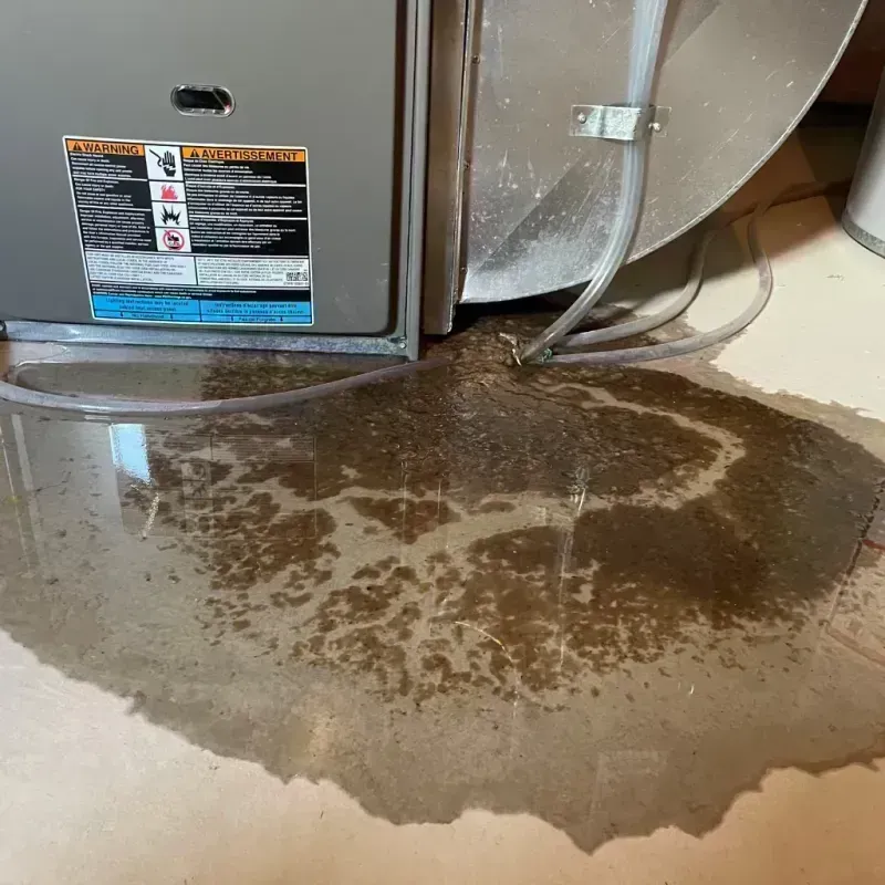 Appliance Leak Cleanup in Lake Ozark, MO